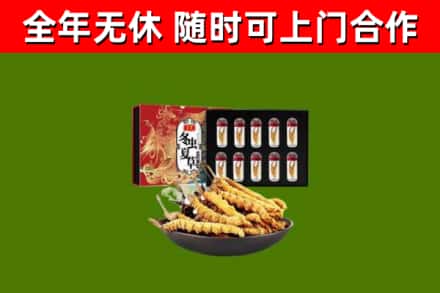马鞍山市烟酒回收冬虫夏草礼盒.jpg